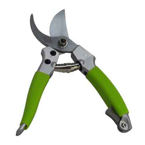 PRUNER